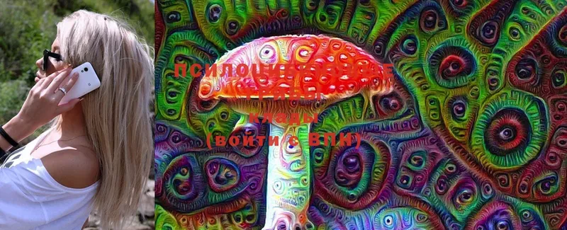 Псилоцибиновые грибы Magic Shrooms  магазин продажи наркотиков  мориарти Telegram  Миллерово 